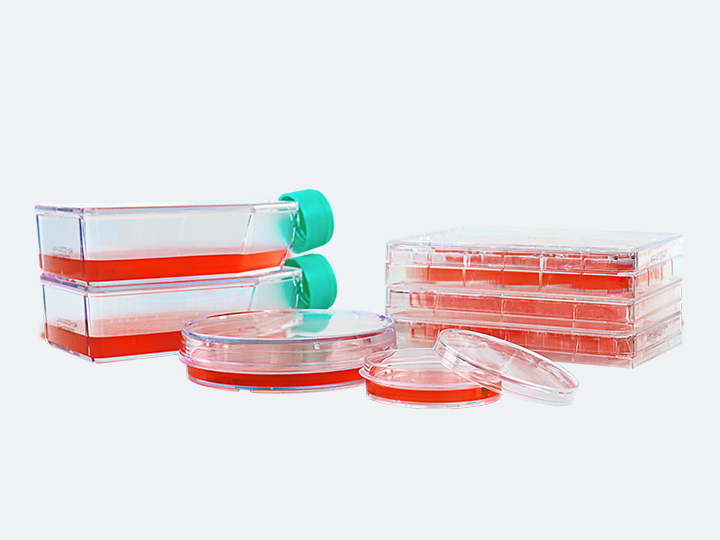 內(nèi)頁(yè) 2.jpg