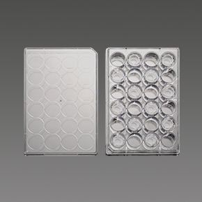 PC膜插入式培養(yǎng)皿,細胞小室,transwell