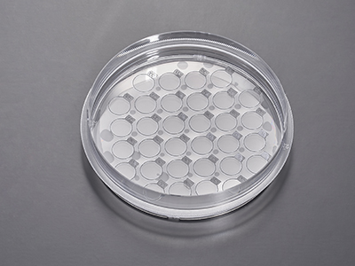 單次細胞培養(yǎng)可制備多種不同實驗和檢測目的的細胞爬片，提高工作效率