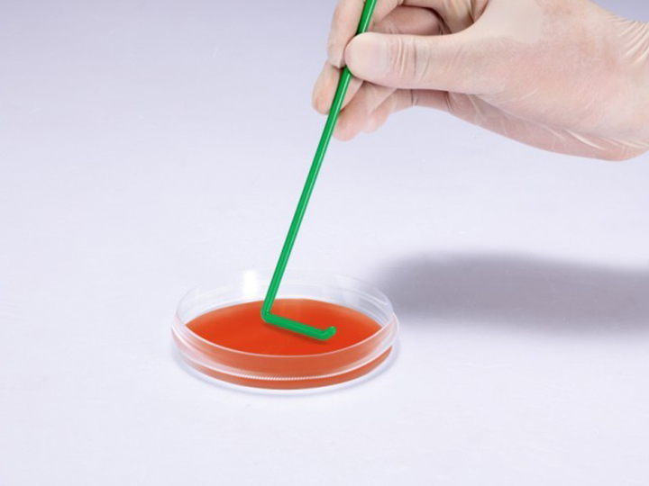 內頁720×540 拷貝.jpg