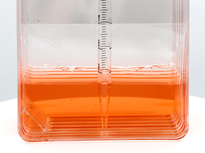 允許10mL移液管直接在瓶內(nèi)進行液體吸取或收取細胞