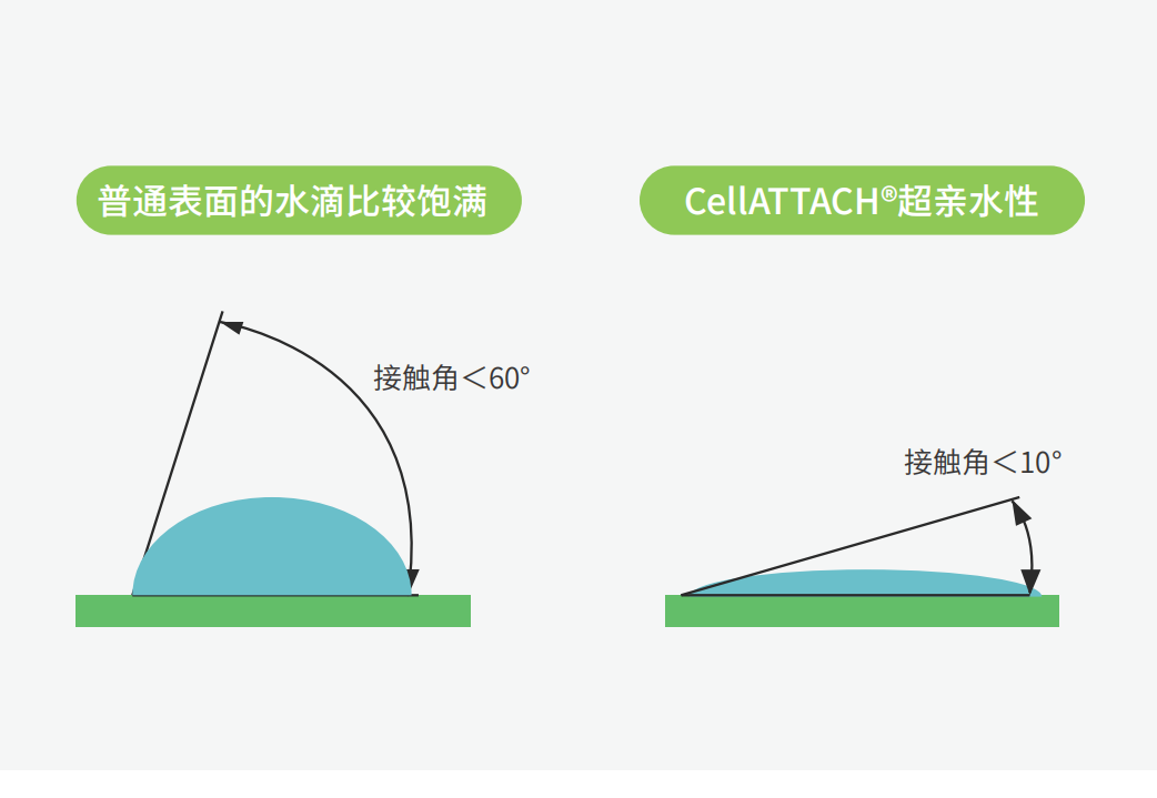 獨特的超親水表面處理技術，能為細胞提供更好的吸附性，促進細胞快速貼壁生長，提高產(chǎn)量