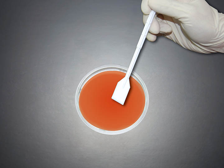 內(nèi)頁720×540 拷貝.jpg